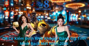 O8 Có Kiểm Định RNG Không? Đánh Giá Tính Minh Bạch Mới Nhất 2026