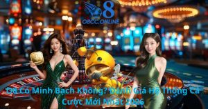 O8 Có Minh Bạch Không? Đánh Giá Hệ Thống Cá Cược Mới Nhất 2026